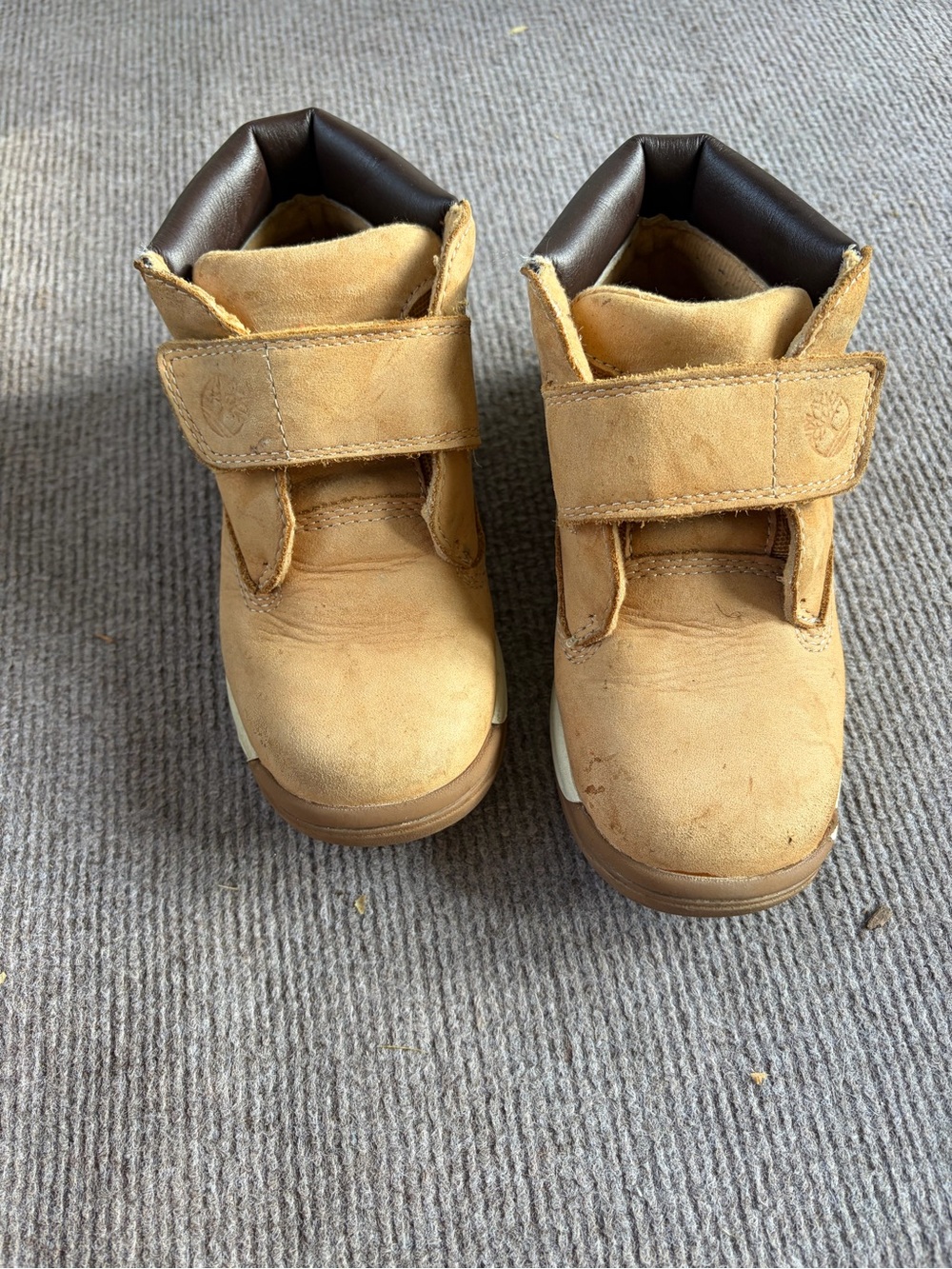 Timberland Kids Wheat Suede Hook-and-Loop Boots